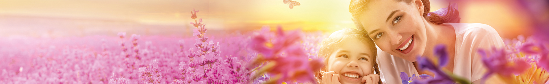 banner-image